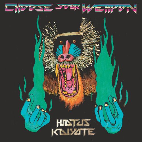 Hiatus Kaiyote